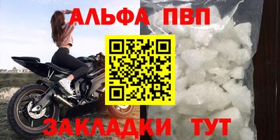 хмурый Кингисепп