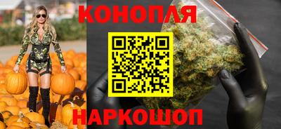 хмурый Кингисепп