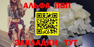хмурый Кингисепп