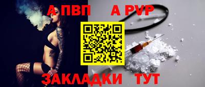 хмурый Кингисепп