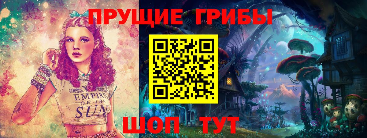 Псилоцибиновые грибы Psilocybe Великий Устюг
